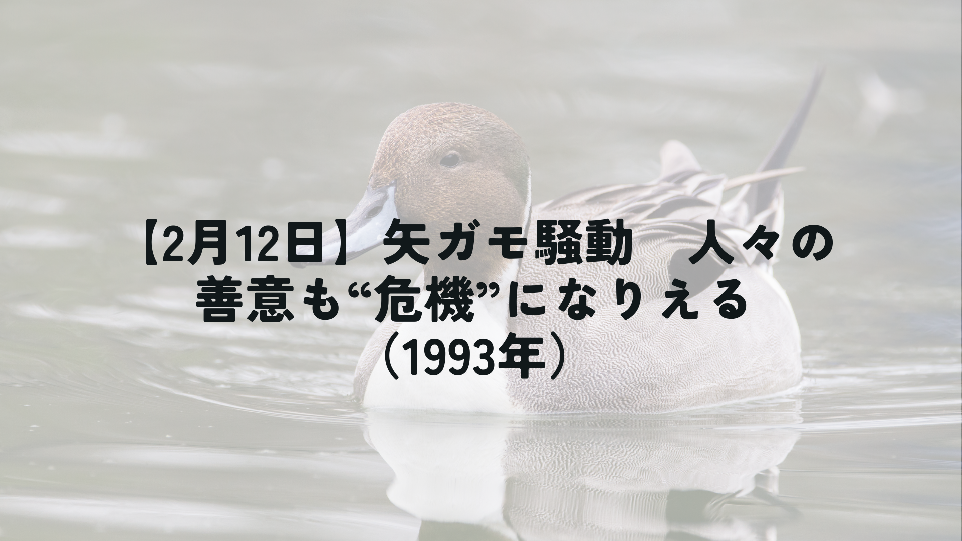 1993年の矢ガモ騒動と危機広報の構造を解説するアイキャッチ画像